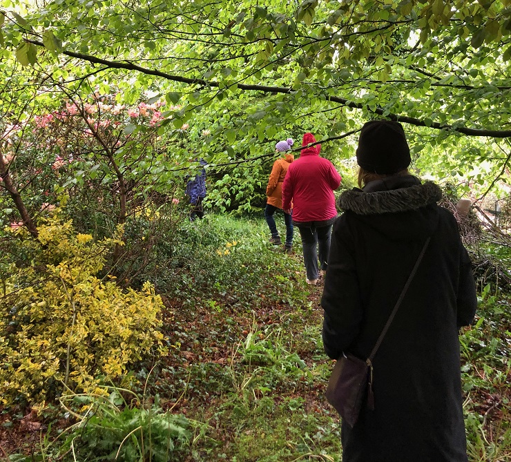 People taking a walk through woodland in Brian's Wood