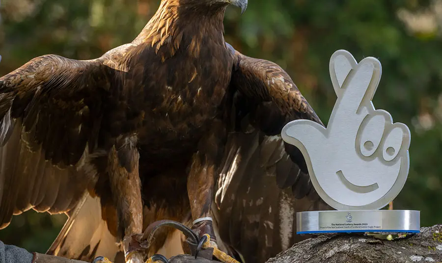 Eagle next to award