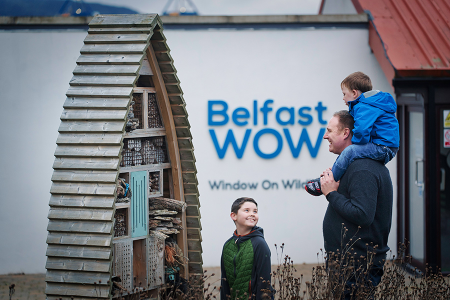 Family looking at a bug hotel in front of the Belfast Window on Wildlife building
