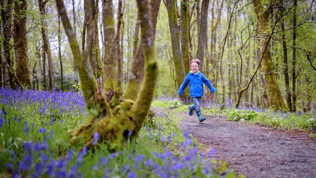 Child running in forest surrounded by purple flowers