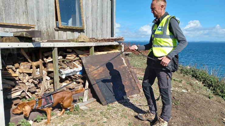 A person in a hi-vis jacket with a dog on a lead, inspecting a building on the coast