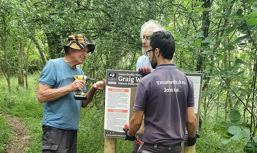 Three people installing a sign in a forest