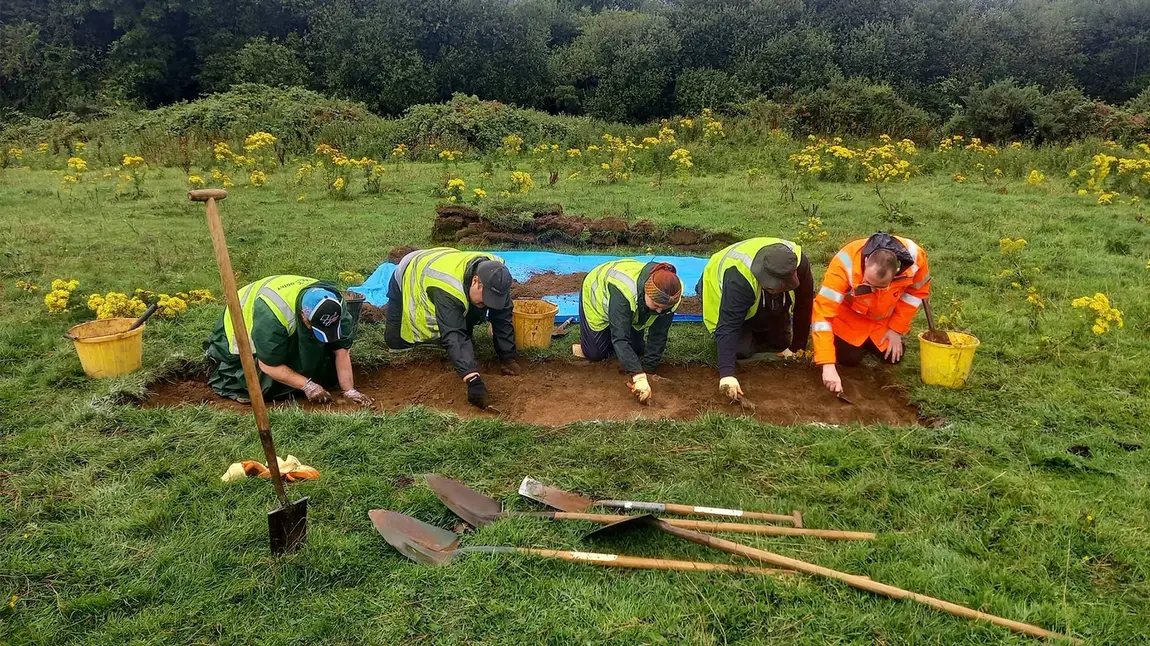 A group of people on their knees, digging in a trench in the grass