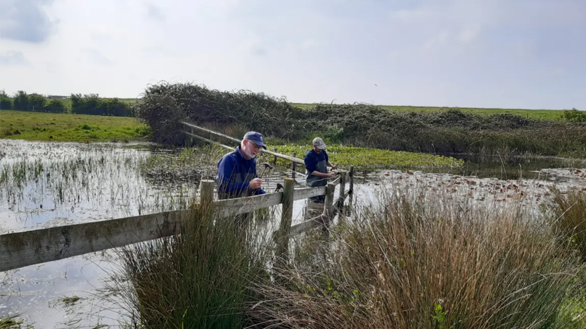 People doing restoration work in wetlands