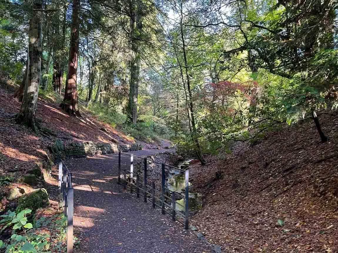 A wooded park with an accessible path with handrails 