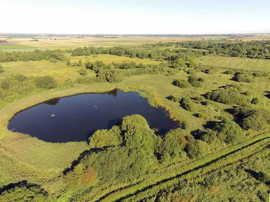 Aerial view of a large fen in sunshine